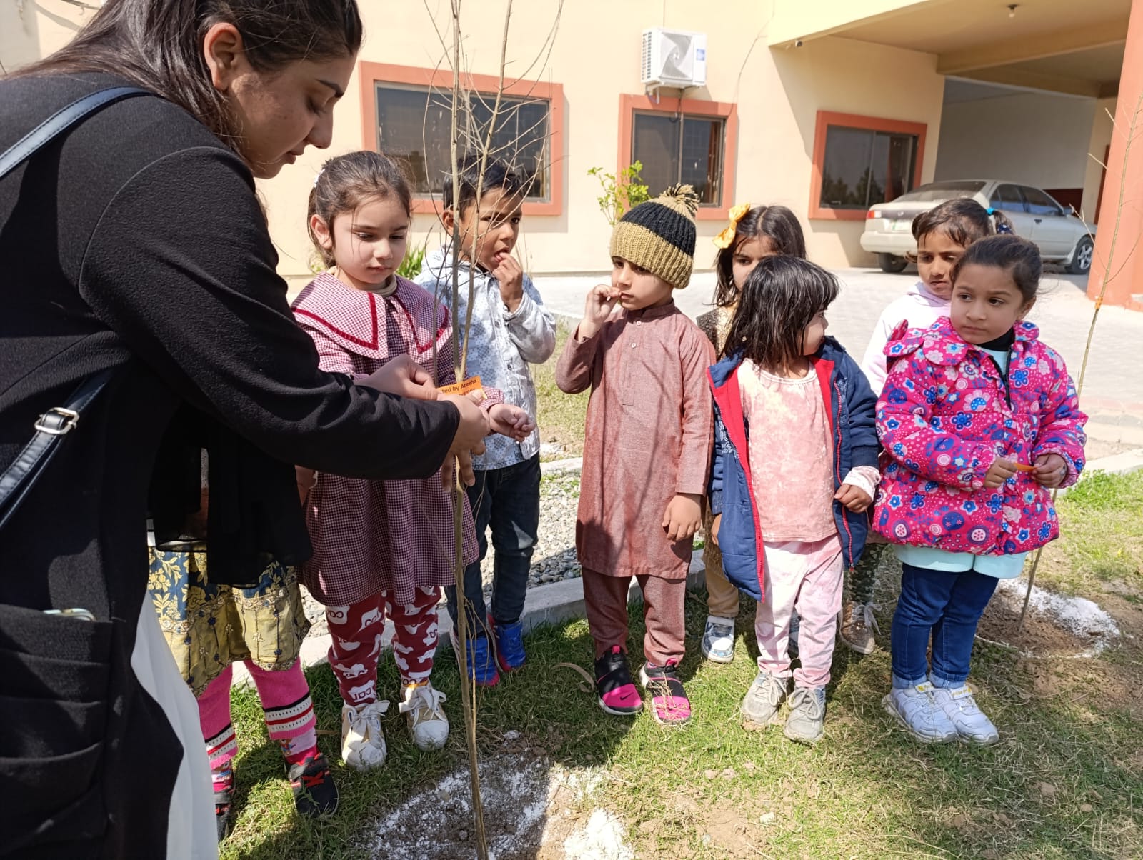 Plantation activity by ASTS 2024 1