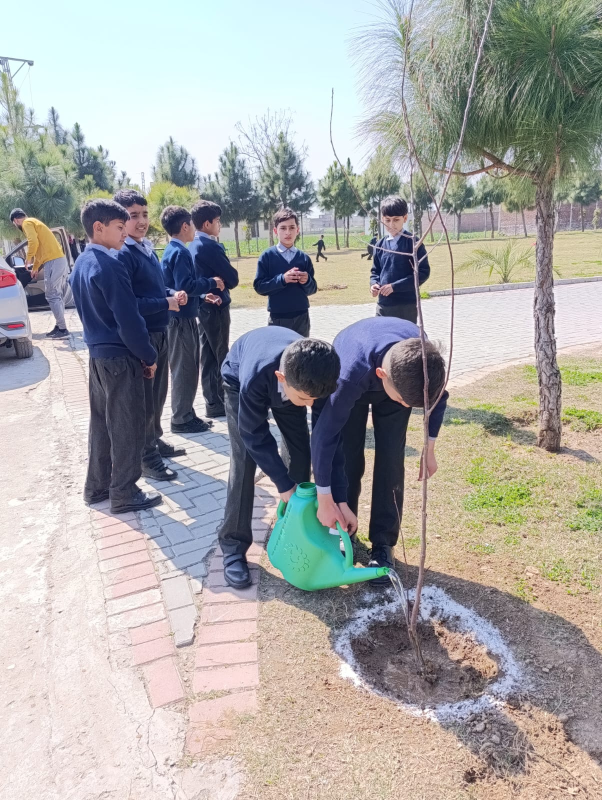 Plantation activity by ASTS 2024 11