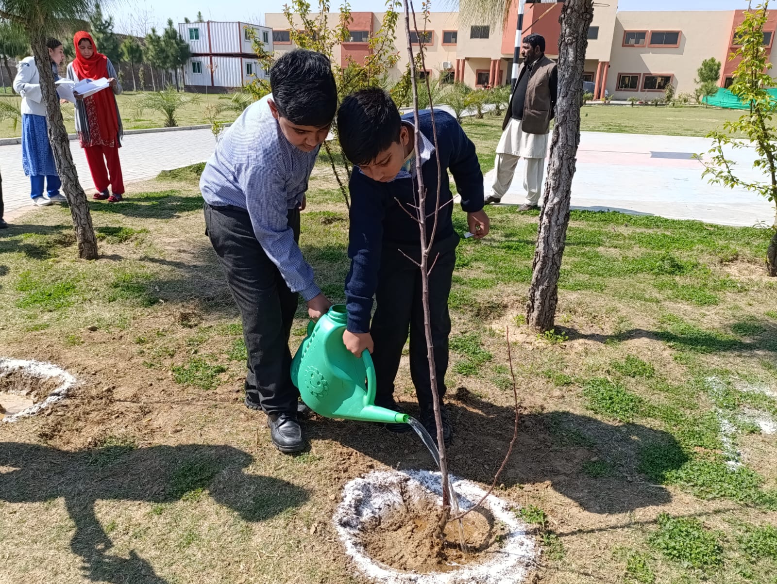 Plantation activity by ASTS 2024 15
