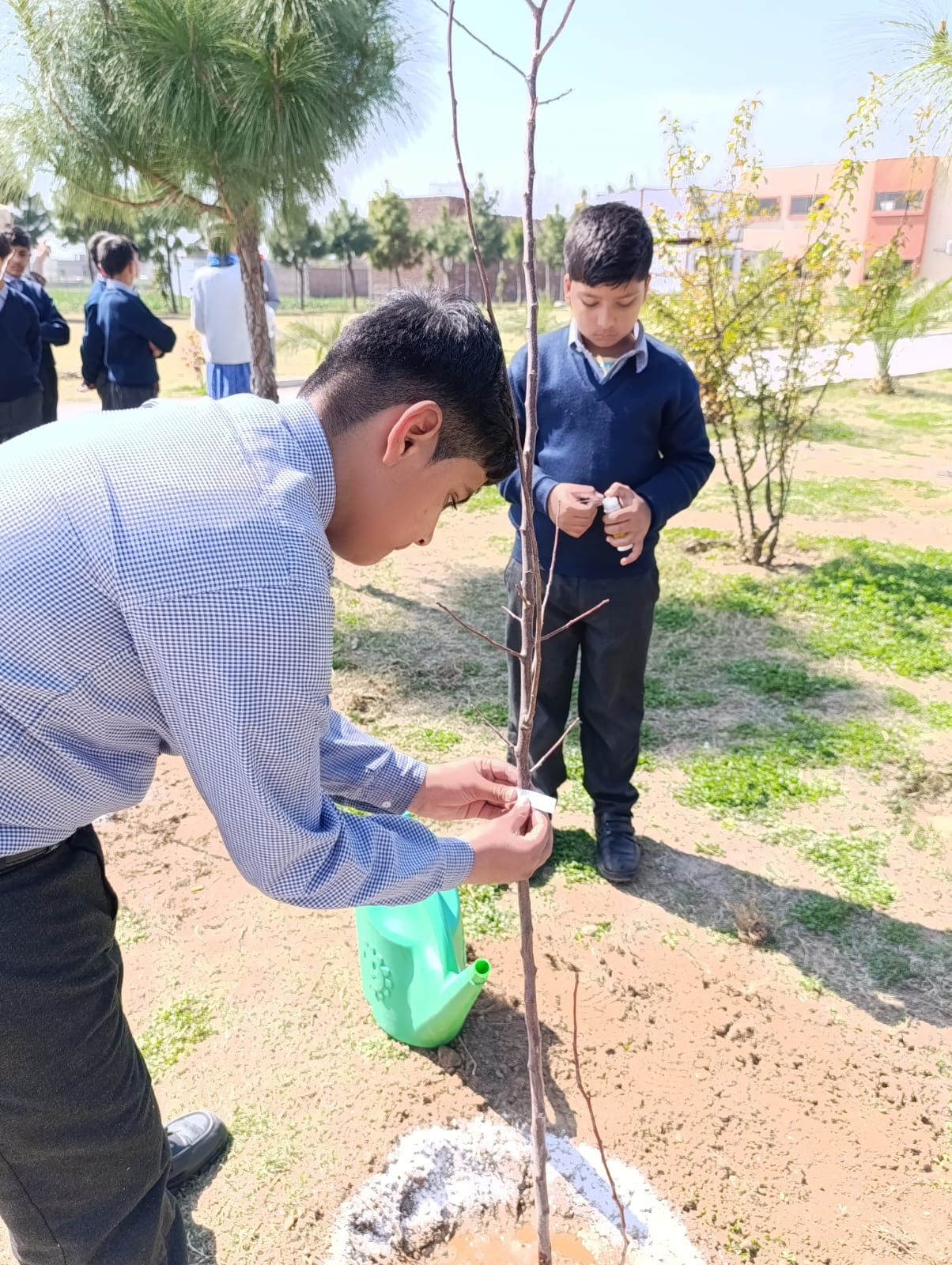 Plantation activity by ASTS 2024 16