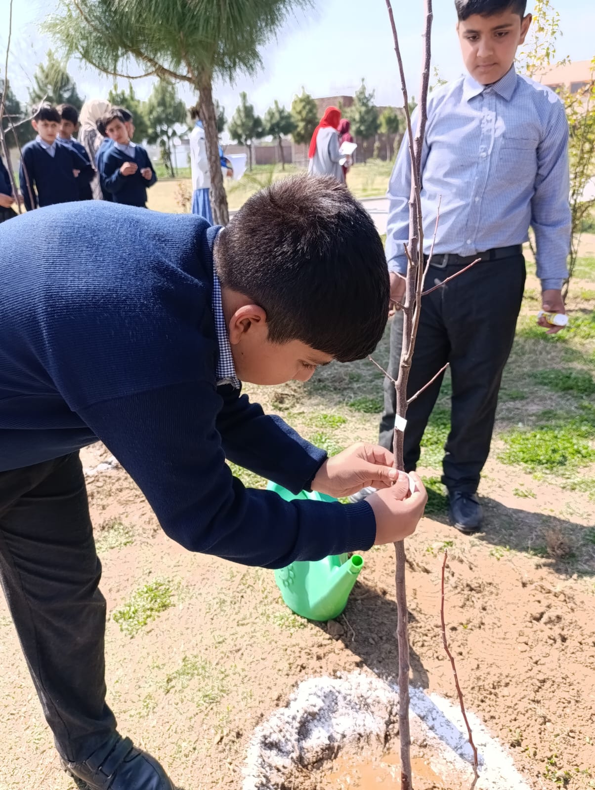 Plantation activity by ASTS 2024 17