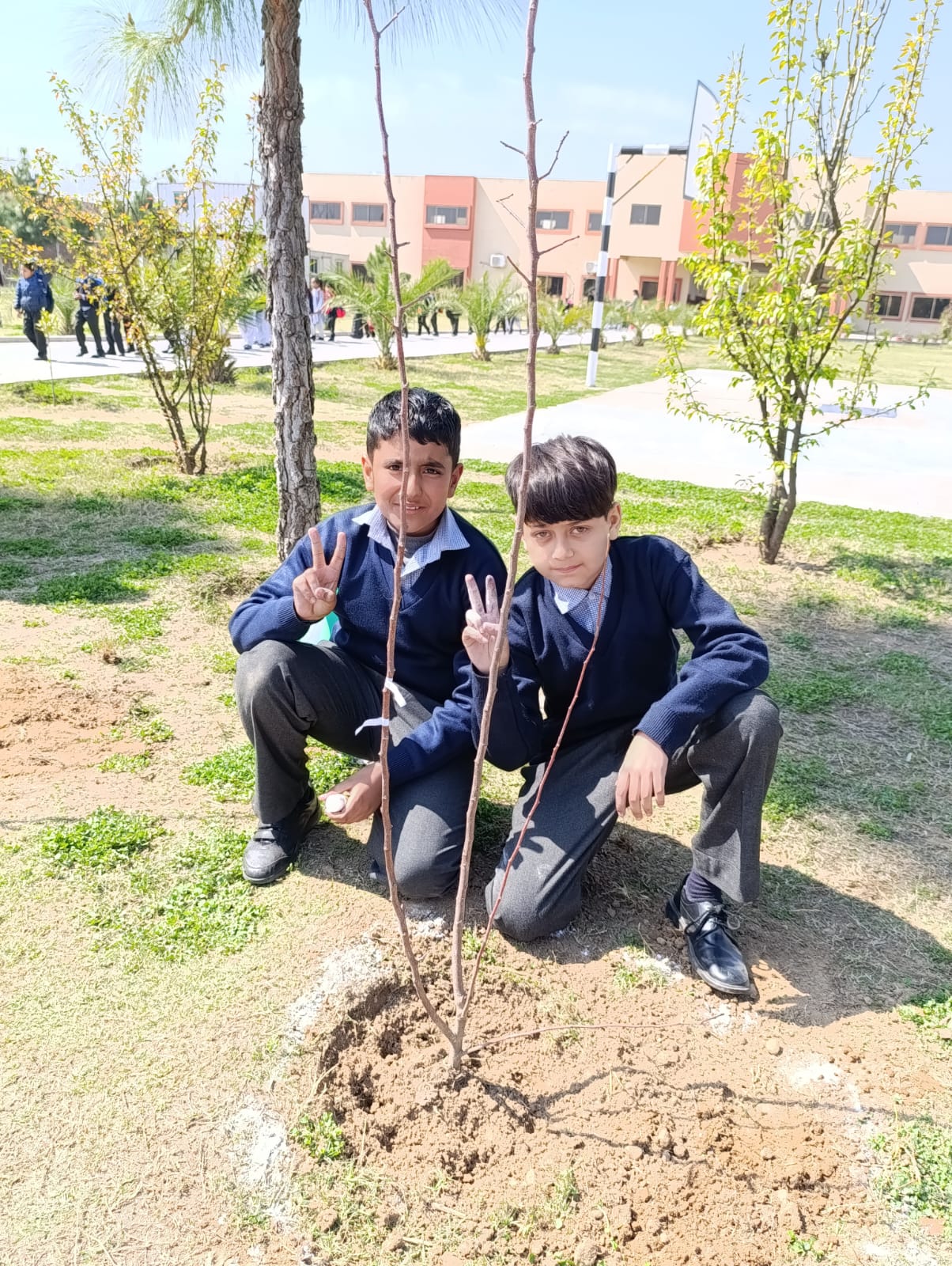 Plantation activity by ASTS 2024 20