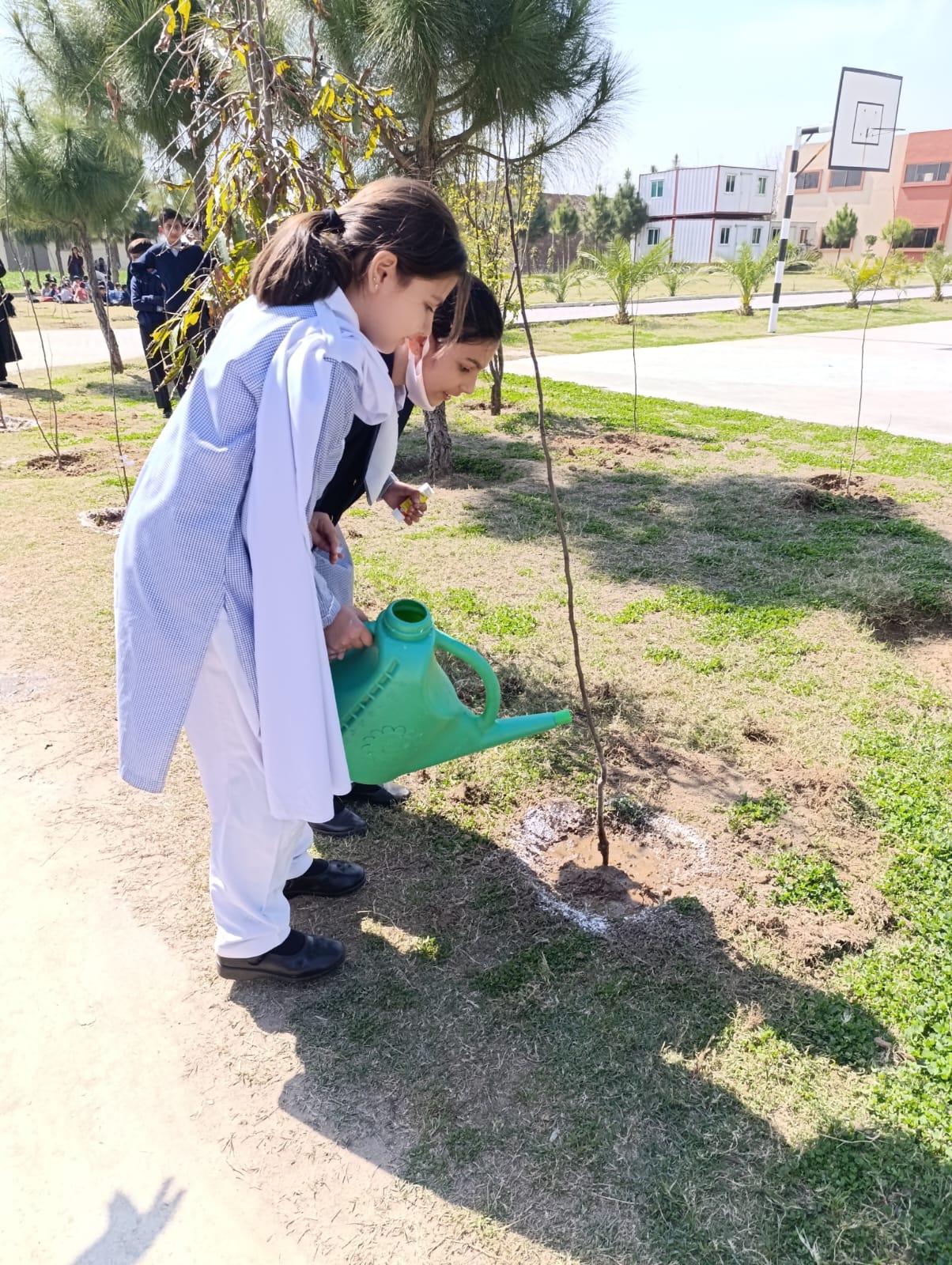 Plantation activity by ASTS 2024 23