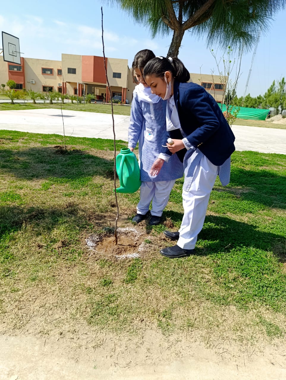 Plantation activity by ASTS 2024 24