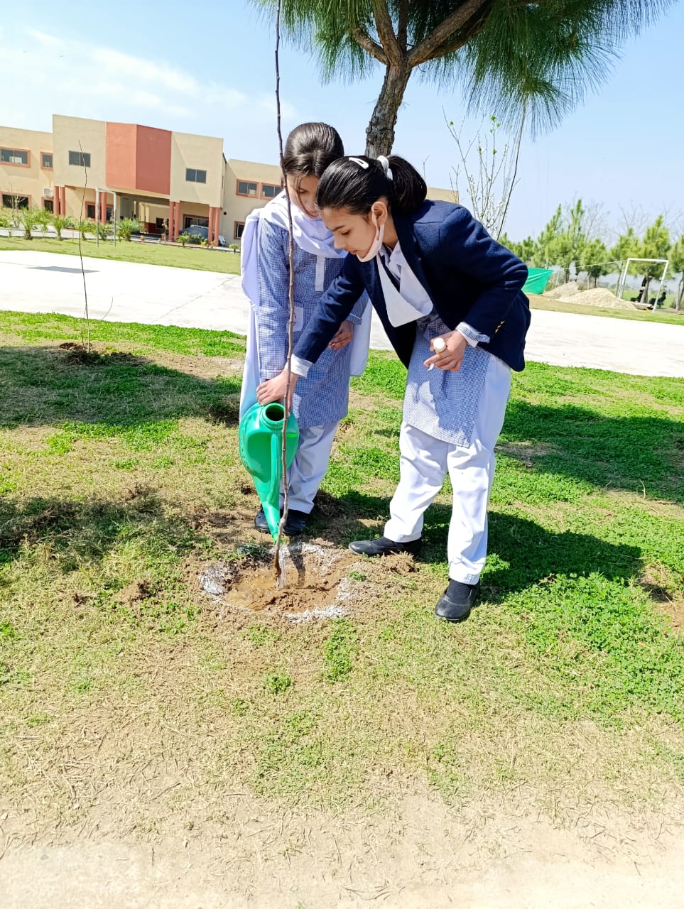 Plantation activity by ASTS 2024 25