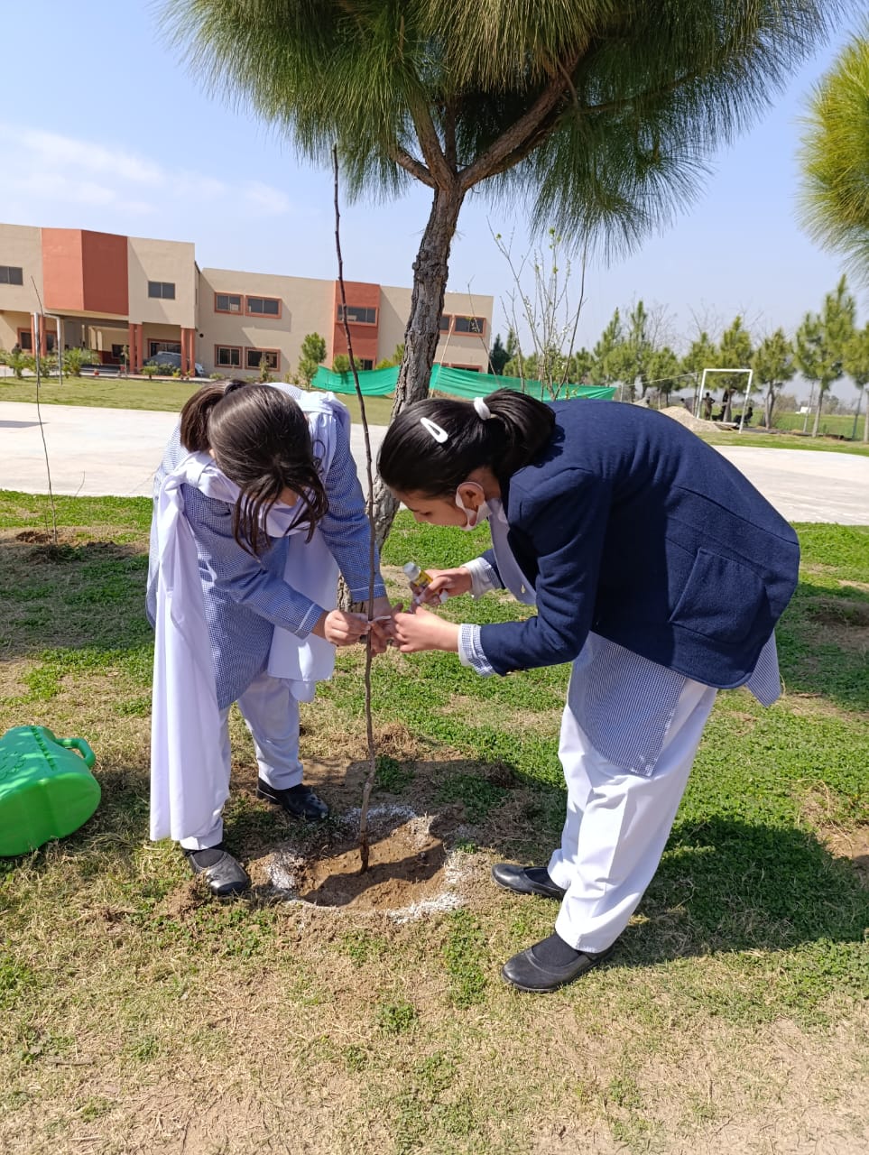 Plantation activity by ASTS 2024 26