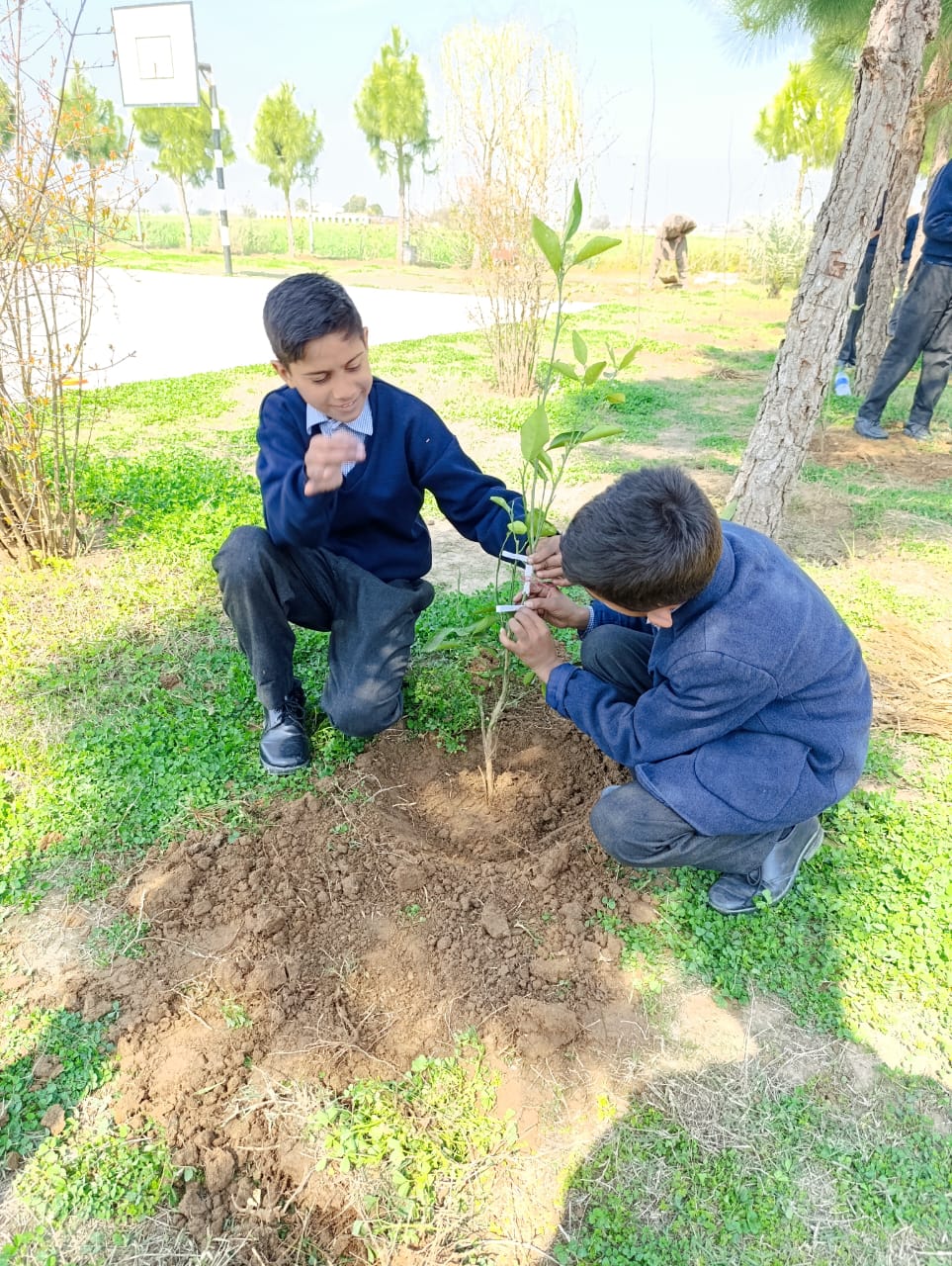 Plantation activity by ASTS 2024 28