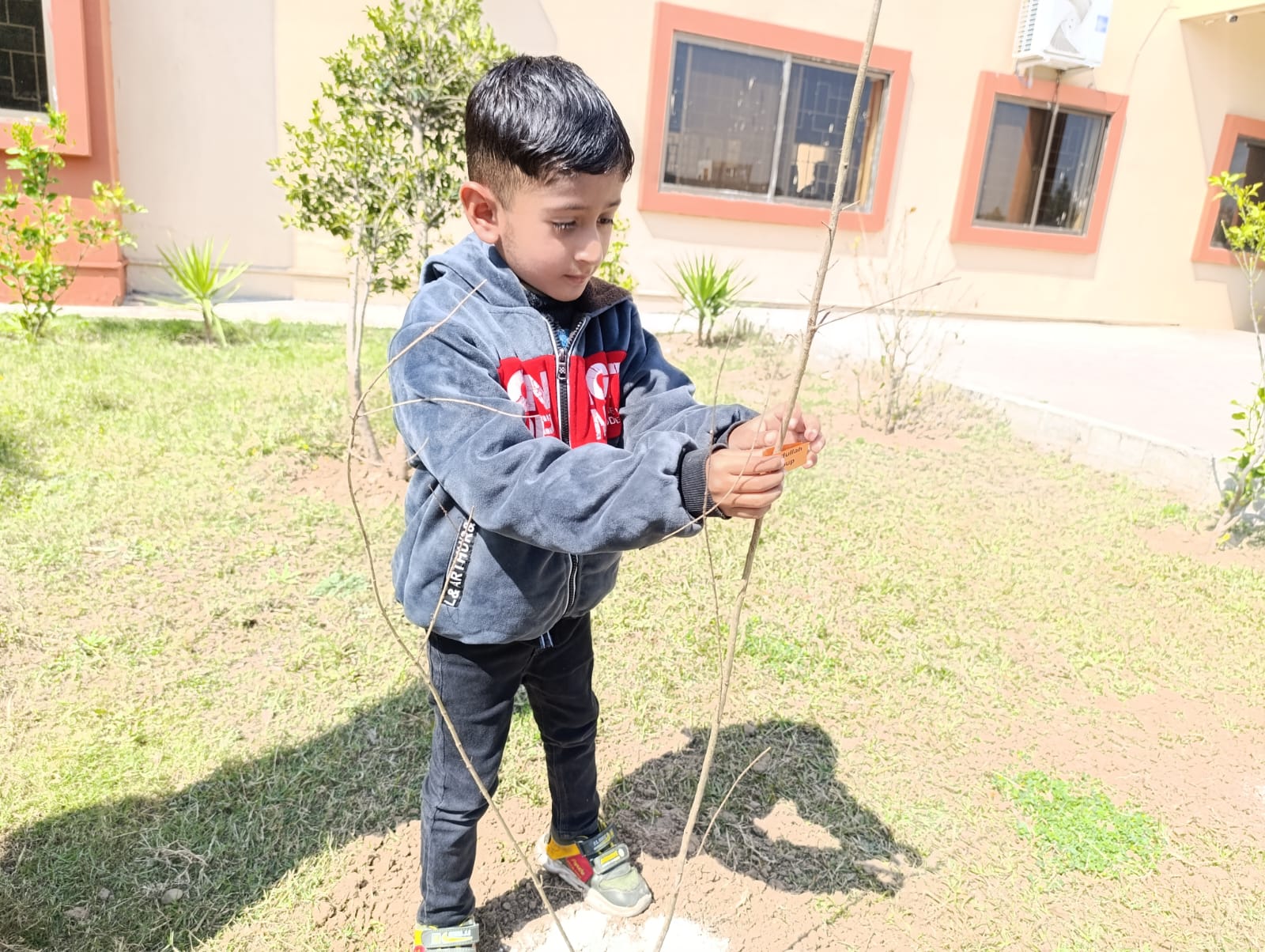 Plantation activity by ASTS 2024 8