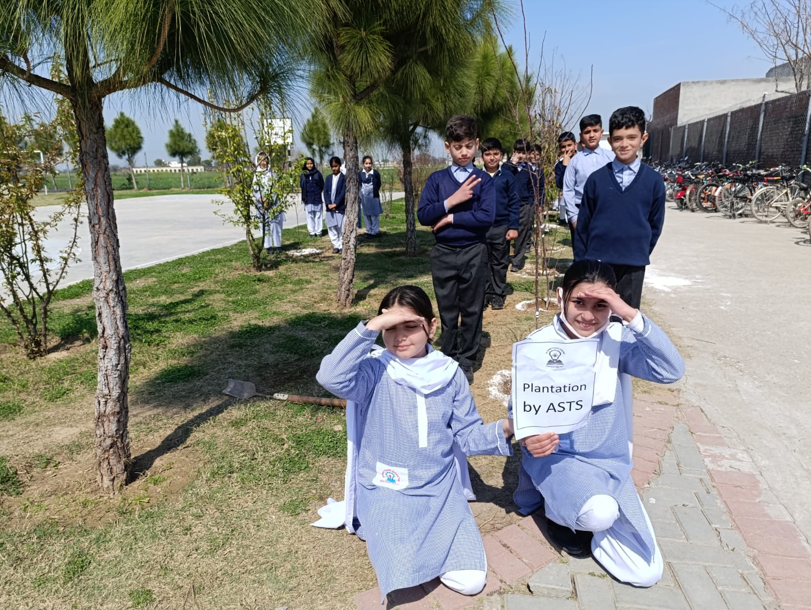 Plantation activity by ASTS 2024 9